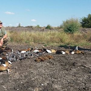 Bird Hunting South Africa