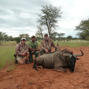 Blue Wildebeest Hunting in Namibia