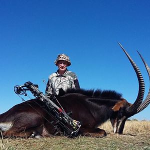 Bow Hunting South Africa Sable Antelope