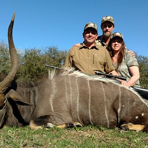 Nyala Hunt South Africa