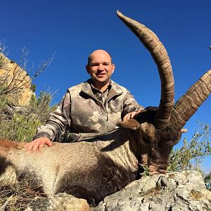 Beceite Ibex Hunting  Spain