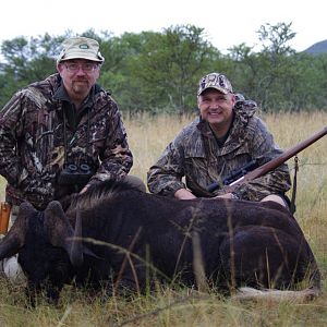 Hunt Black Wildebeest