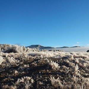 A frosty morning hunt