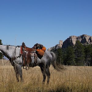 Hunting On Horseback in the Big Horn Mountains