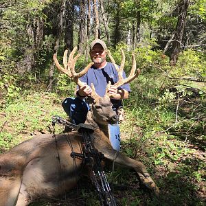 Elk Bow Hunting