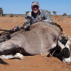 Unusual Bow Hunt Gemsbok