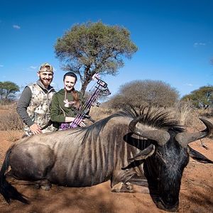 South Africa Blue Wildebeest Bow Hunting