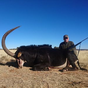 43" Inch Sable Hunting in South Africa