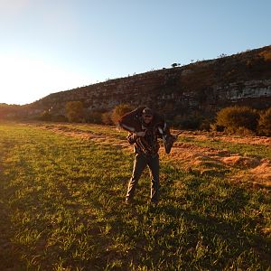 Bushbuck  Hunting South Africa