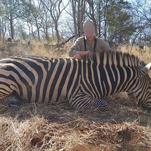 Zebra Hunting Matetsi Zimbabwe