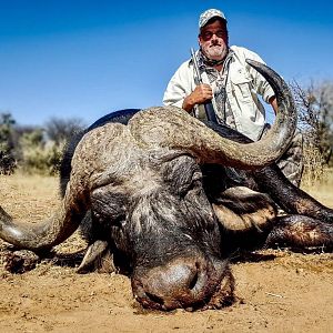 Cape Buffalo South Africa Hunt