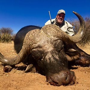 Cape Buffalo South Africa Hunt