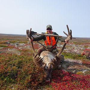 Hunting Canada Quebec Caribou