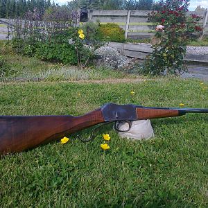 The 303 Martini sporting rifle restock