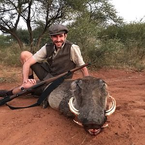 South Africa Warthog Hunt