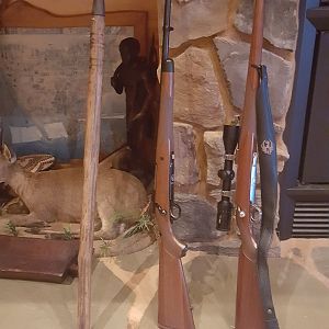 The Ruger M77 Hawkeye African Rifle