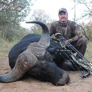 South Africa Bow Hunting Cape Buffalo