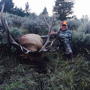 Elk Hunt Utah