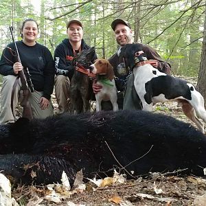 Maine Bear Hunt