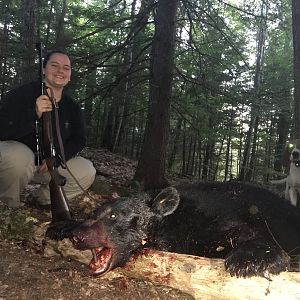 Hunting Bear in Maine