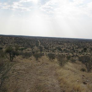 Typical bush track, aka 4 wheel drive "road" if I dare call it that