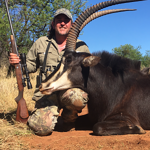 Hunt Sable Antelope South Africa