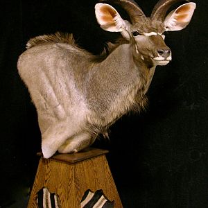 Kudu Classic Pedestal
