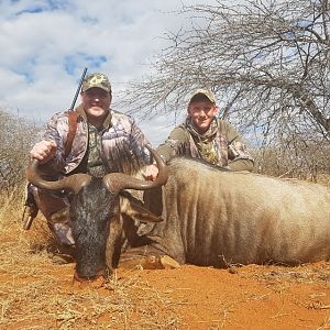 hunted a nice 27''  blue wildebeest bull 2 points under gold