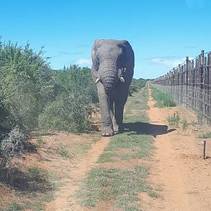 Addo Eastern Cape