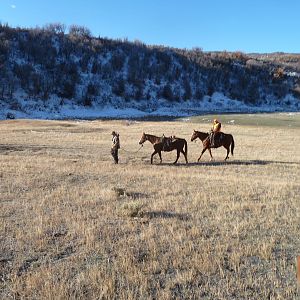 USA Guided Elk Hunting