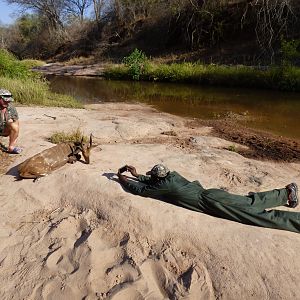 Bushbuck Hunting in Zimbabwe