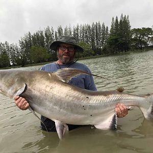 First chaophraya catfish