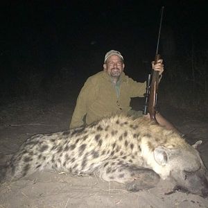 Hunt Spotted Hyena in Zimbabwe