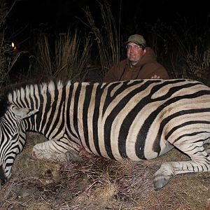 Burchell's Plain Zebra Hunting in South Africa