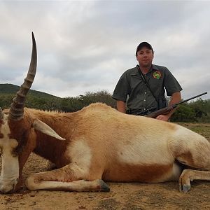 South Africa Hunting Yellow Blesbok