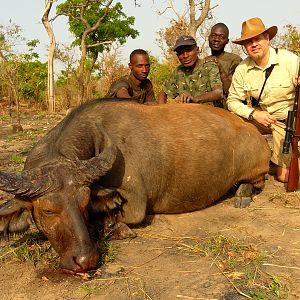 West African Savanna Buffalo Hunt in Benin