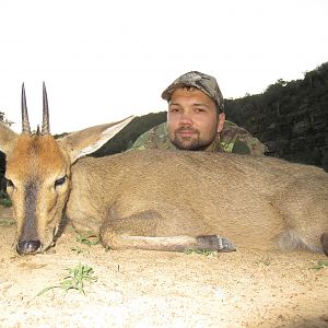 South Africa Hunting Duiker