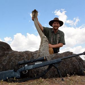Female Ostrich Hunting Namibia