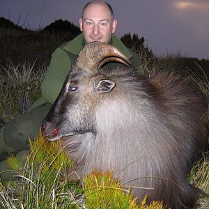 Hunting New Zealand Tahr