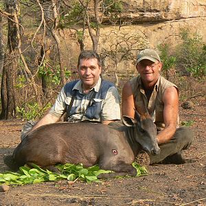 Hunting Yellow Back Duiker in CAR