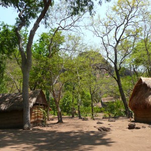 Hunting Camp in CAR