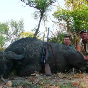 Black Buffalo bull hunted in CAR