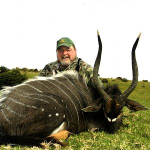 Nyala 2