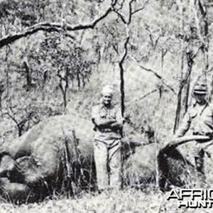 John Taylor with an Elephant