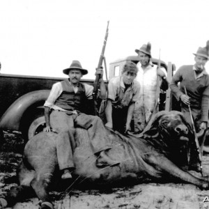 A hunting party with a buffalo