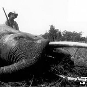 Jorge Alves de Lima, Professional Hunter, with Elephant