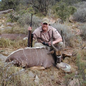 Nyala Bull