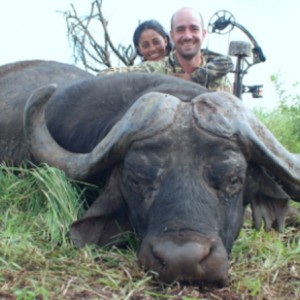 43 inches Cape Buffalo hunted in Mozambique