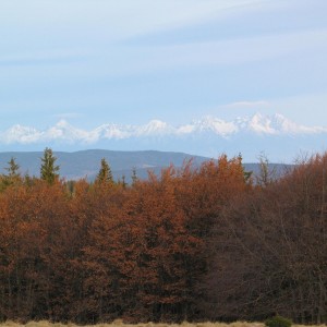 My hunting views from Slovakia