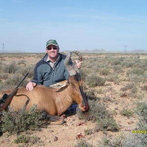 Hartebeest Hunted in the Richmond, South Africa